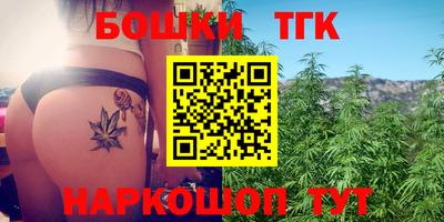 хмурый Камышлов