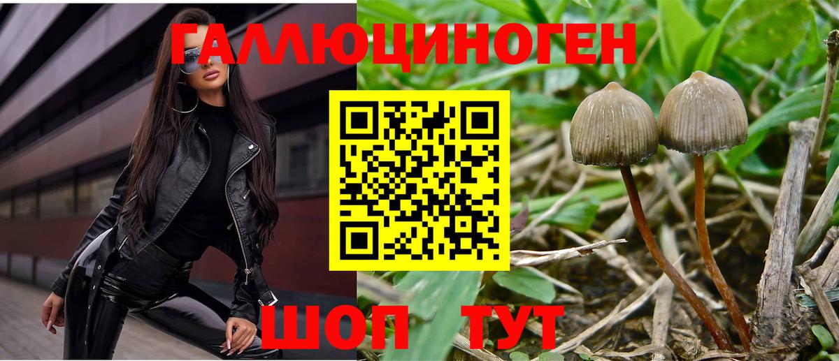 Галлюциногенные грибы Magic Shrooms Ленинск-Кузнецкий