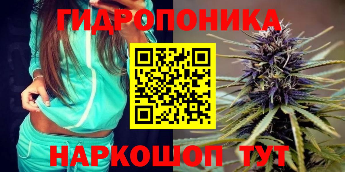 Канабис планчик  Вход с VPN  Бошки Шишки план  Ленинск-Кузнецкий  Шишки марихуана марихуана 